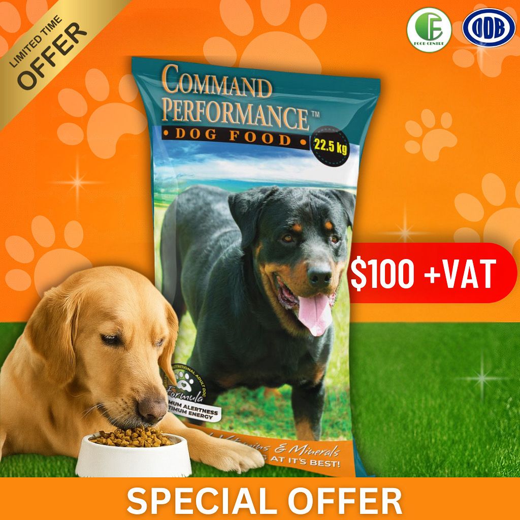 O.D. Brisbane & Sons Trading Ltd. | Home Page 2